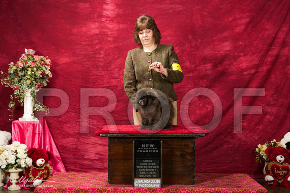 _ST_2800-BeltonJan2015IABCA-HR3