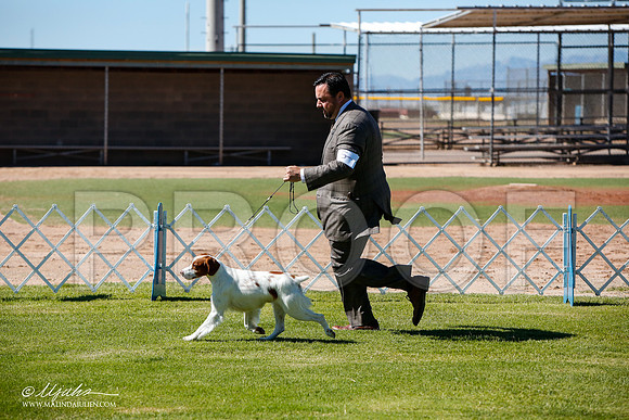 _JJ_4850-AlamogordoOct2014-HR3