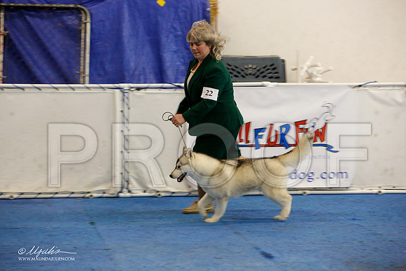 _M3_0833-AddisonHuskyMar2015-HR3