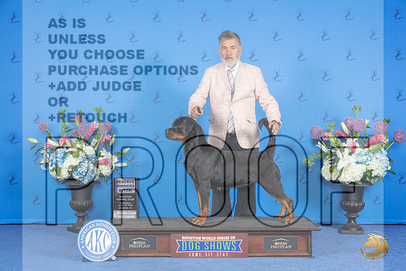 Rottweiler # THUR RWB Judge Nancy Liebes__JP_0483_Houston_2024_HR3