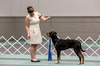 Chandly Maynard UKC Longview Oct 2024