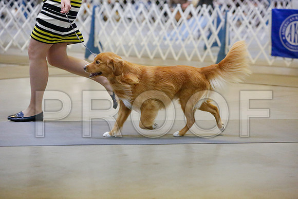 _JJ_2201-AmarilloSept2014-HR3