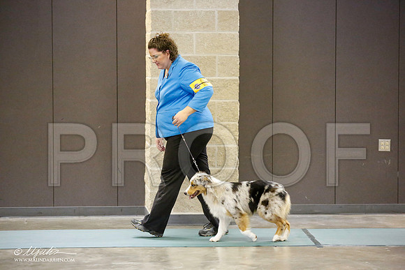 _JN_3229-BeltonJan2015-HR3