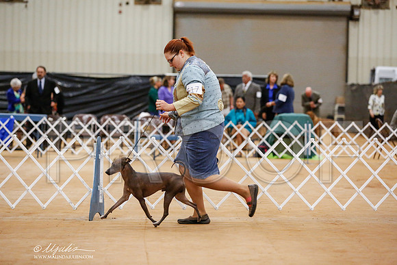 _RH_7881-TxArJun2014-HR3