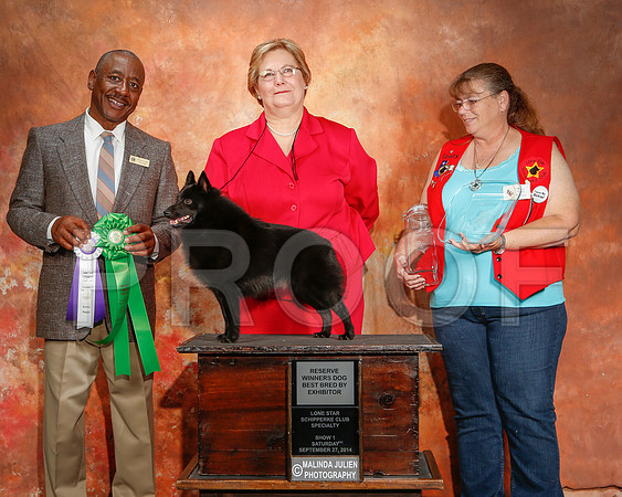 _ST_2405-2-CarlrolltonSept2014-HR3