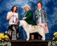 #45 Sat RWD Kendra Ireton Judge Stephanie Hamblin-Barnhill