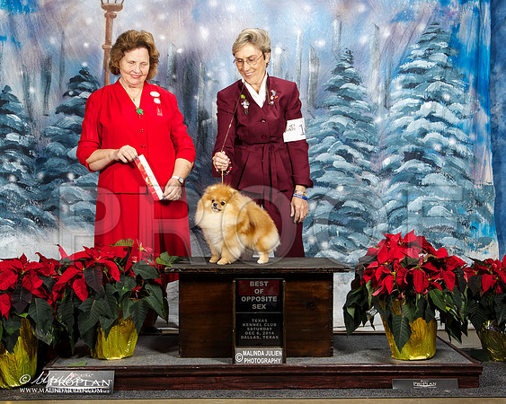 _ST_8575-DallasDec2014-HR3