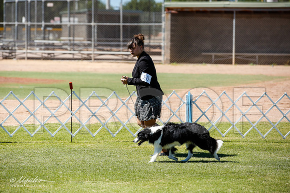 _JN_9034-AlamogordoOct2014-HR3