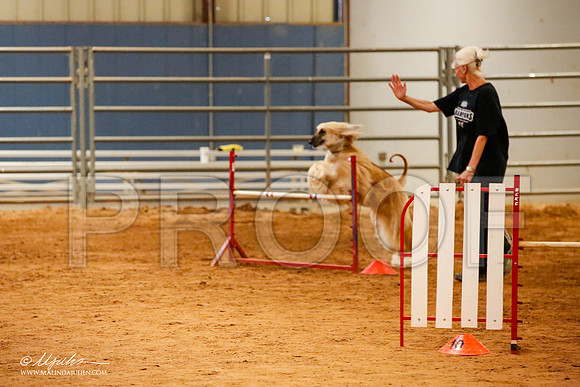 _JJ_5853-AfgBeltonOct2014-HR3