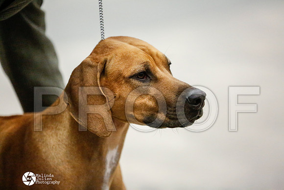 _RH_1509-AblnMay2014-web