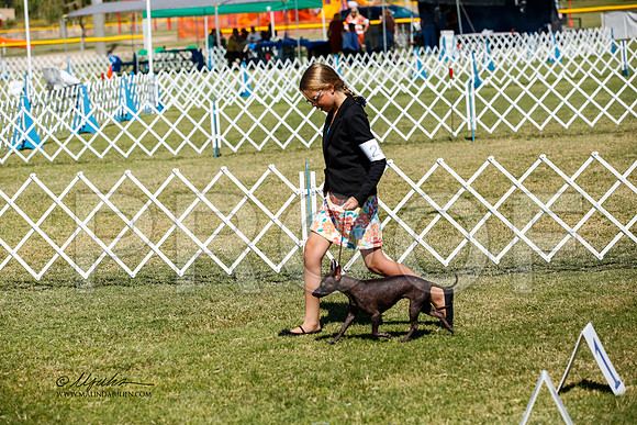 _JJ_3727-AlamogordoOct2014-HR3