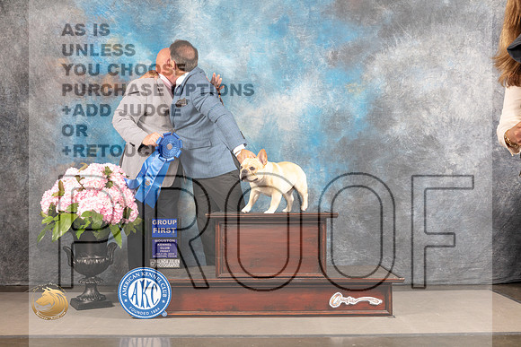 French Bulldog #7 FRI G1 Judge Jeffery Bazell_MJ_5819_Houston_2022_HR3