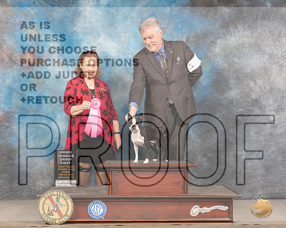 Boston Terrier #18 Fri OHG1 Judge Donnelle RichardsMMJ_3747_Mdlnd2022_HR3