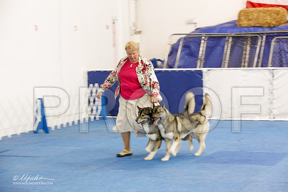 _M3_1660-AddisonHuskyMar2015-HR3