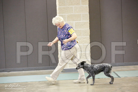 _JN_2560-BeltonJan2015-HR3