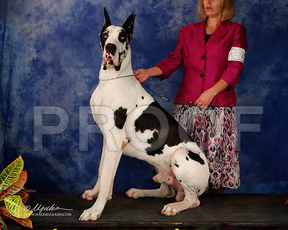 Dane-9035-NormNov2013-HR