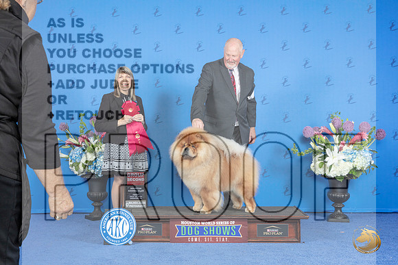 Chow Chow #5 FRI G2 Judge Angela Pickett__JP_9549_Houston_2024_HR3