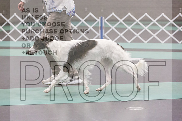 Silken Windhound Ring FRi Ring 1_JJL_5215_UKCLNGVIEWOCT2024_2024_HR3
