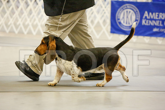 _JJ_2712-AmarilloSept2014-HR3
