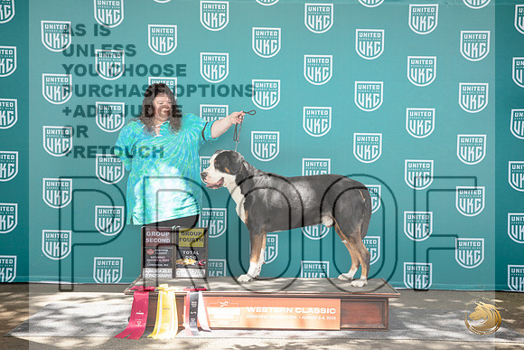 Greater Swiss Mountian Dog #242 Fri G4 TD Sat G2 No judge__JP_1874_Longview WA_2024_HR3