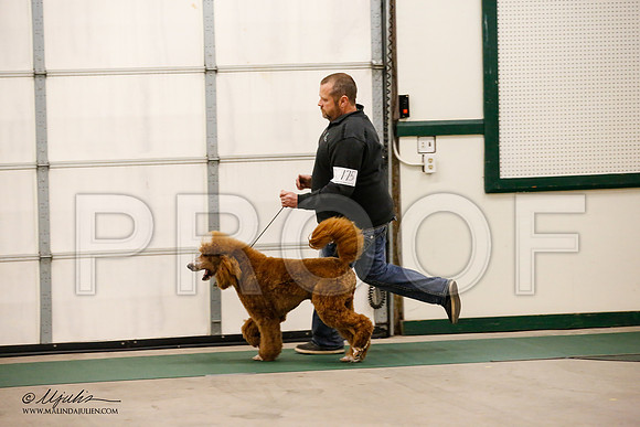 _JN_1044-NrmnNov2014-HR3