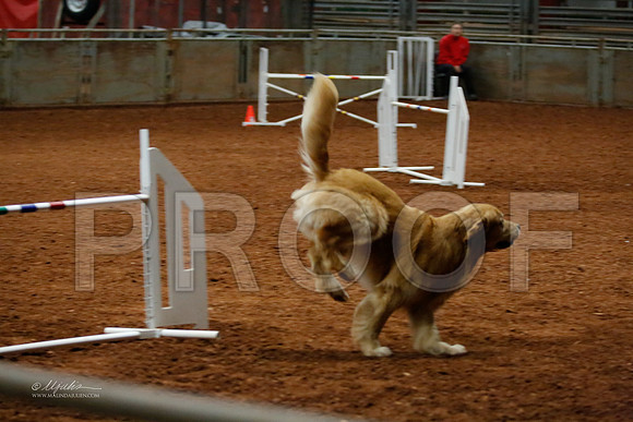 FExc24-0084-WFOct2013-HR
