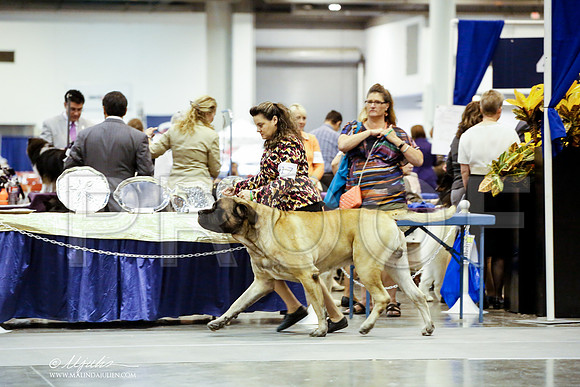 _JJ_4872-HstnJul2014-HR3
