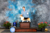 Pembroke Welsh Corgi #19 Sun WDBOW Judge Wendy G Willhauck