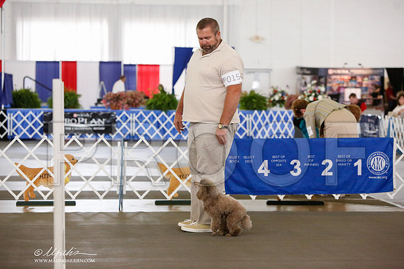 _JN_8361-DallasJul2014-HR3