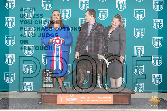 American Pit Bull Terrier #124 Sat1 VBIS Judge Valerie Piltz__JP_6504_BatesvilleMS_2024_HR3