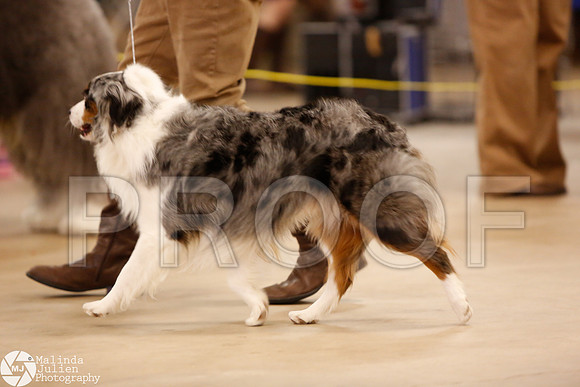 HERDING-0002-Waco14-HR