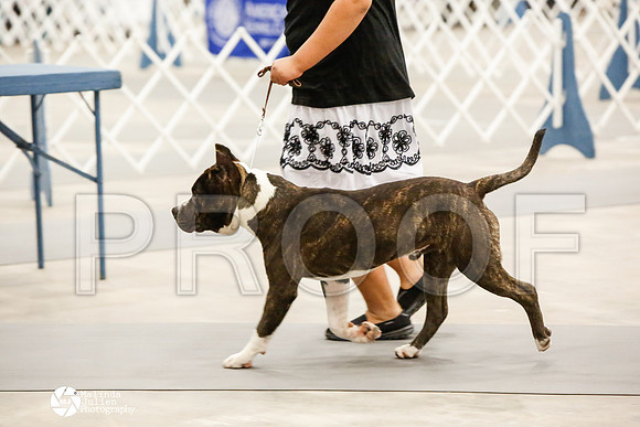 _CK_8723-AblnMay2014-web