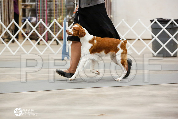 _JN_0150-AblnMay2014-web