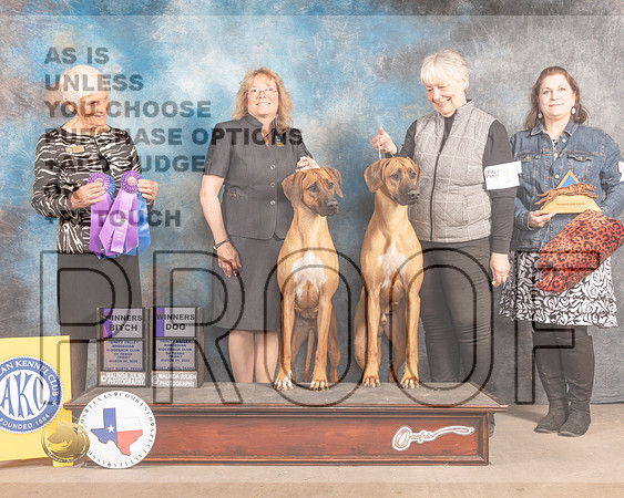 Rhodesian Ridgeback #17 & 52 Fri WD WB Judge Pluis Davern-MMJ_7229-FW2022-HR3