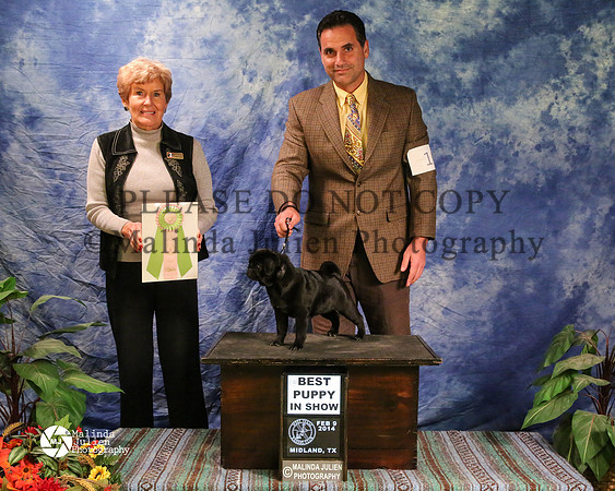 PUG-8754-MidFeb14-HR