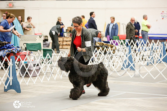 _JJ_1039-AblnMay2014-web