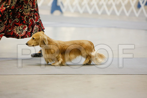 _JJ_2866-AmarilloSept2014-HR3