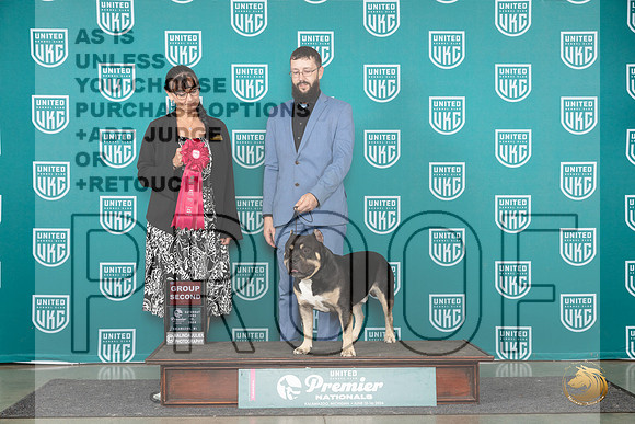 American Bully #825 Sat G2 Judge Stephanie Mueller r__JP_2574_Premier_2024_HR3