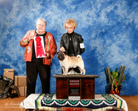 Pug #5 Sat G2 +A1