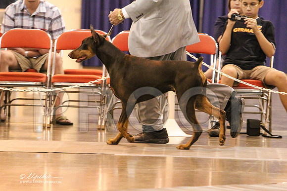 Dobe-8930 PROOF
