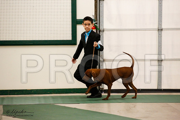 _JN_8588-NrmnNov2014-HR3