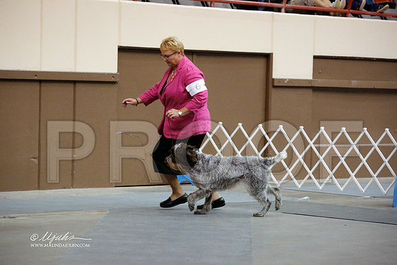 SprtGrp-0956-SANov13-HR