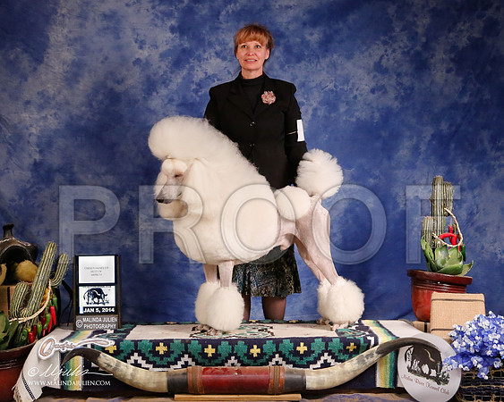 PoodStd-4593-GRJan14-HR