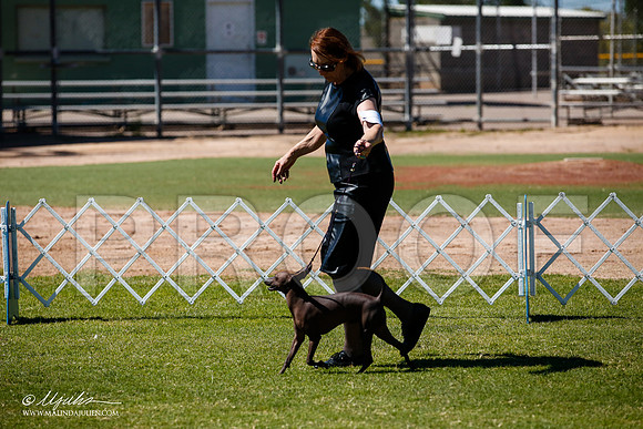 _JJ_8203-AlamogordoOct2014-HR3