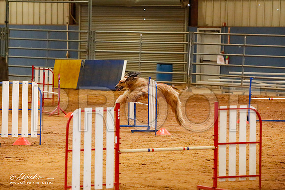 _MJ_2310-AfgBeltonOct2014-HR3