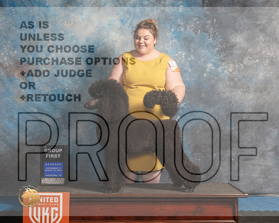 Poodle Std #287 Sat2 G1 Judge David Arthur_MMJ_6515_Addison2022_HR3