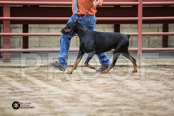MJ2_0802-WacoFeb14-HR