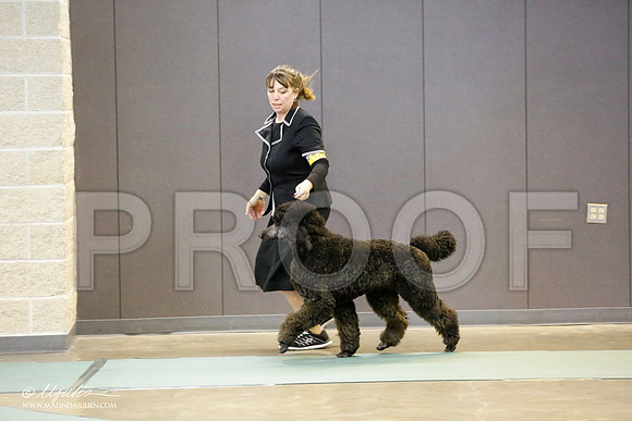 _RH_9650-BeltonJan2015-HR3