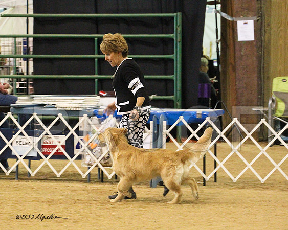 BIS Puppy-9133