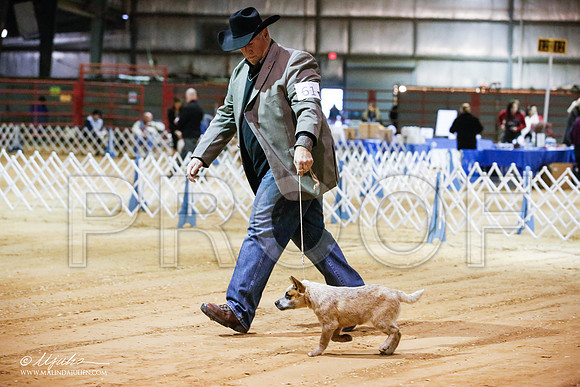 _JN_3936-2-GlenRoseJan2015-HR3